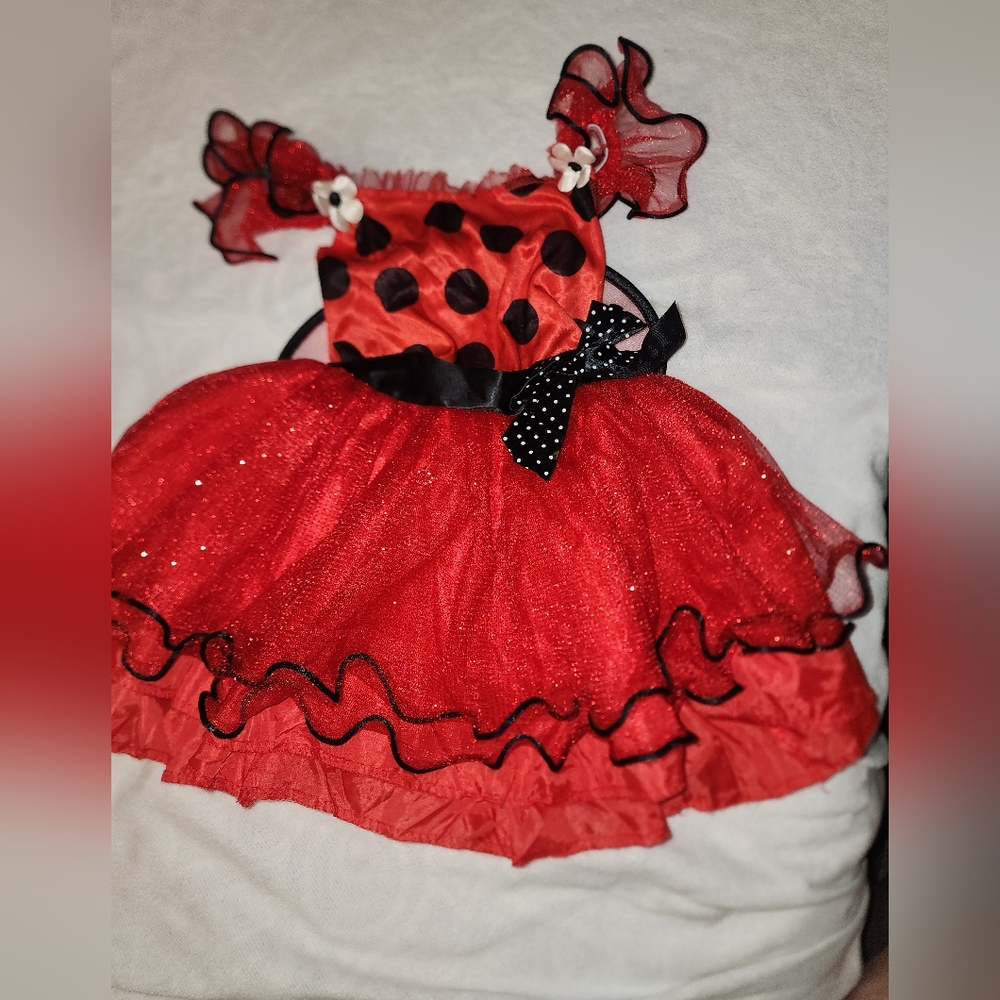 Ladybug Red Corset Style Top Halloween Costume Dress Set 3T-4T